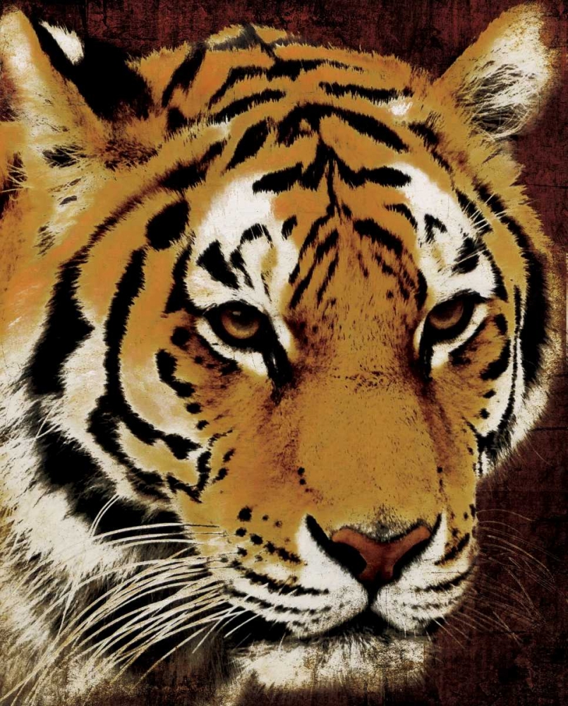 Wall Art Painting id:26354, Name: Tiger, Artist: Grey, Jace