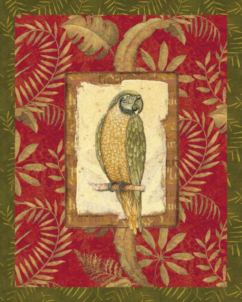 Wall Art Painting id:1740, Name: Exotica Parrot, Artist: Audrey, Charlene