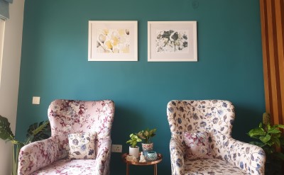 User Review Pictures