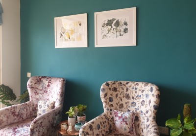 User Review Pictures