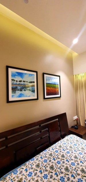 User Review Pictures