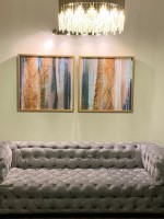 User Review Pictures