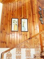 User Review Pictures