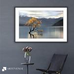 User Review Pictures