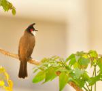 User Review Pictures