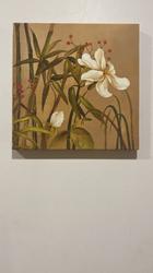 User Review Pictures