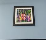 User Review Pictures