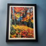 User Review Pictures