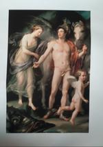 User Review Pictures