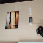 User Review Pictures