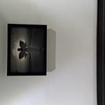 User Review Pictures