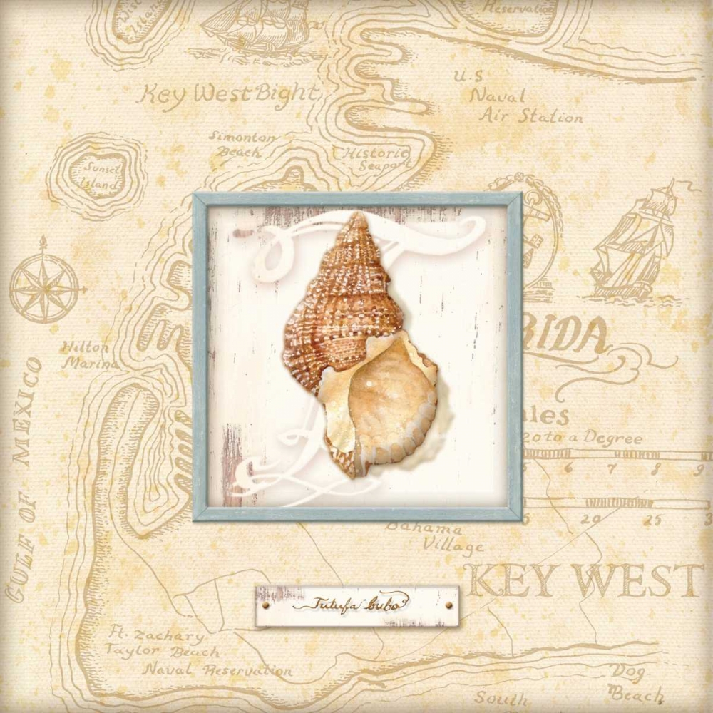 Wall Art Painting id:1764, Name: Sea Treasure I, Artist: Audrey, Charlene