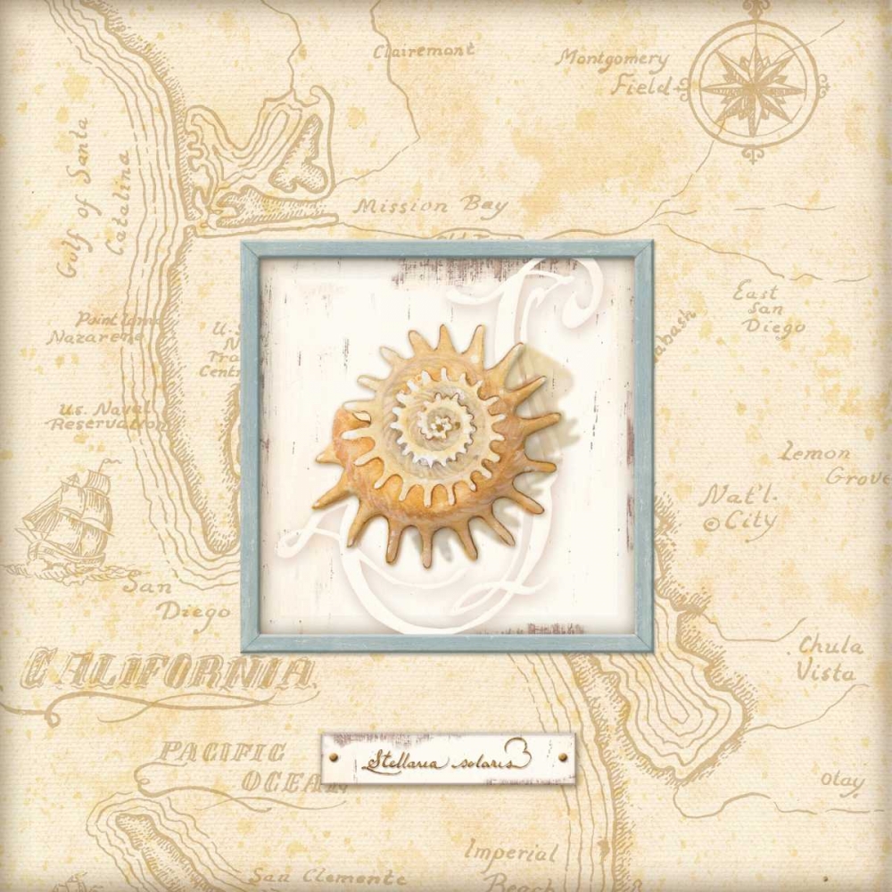 Wall Art Painting id:1766, Name: Sea Treasure III, Artist: Audrey, Charlene