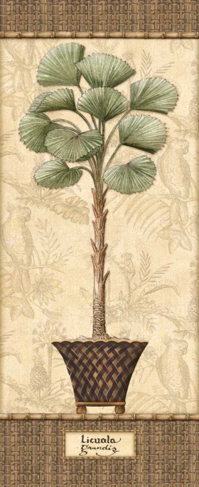 Wall Art Painting id:1770, Name: Botanical Palm I, Artist: Audrey, Charlene