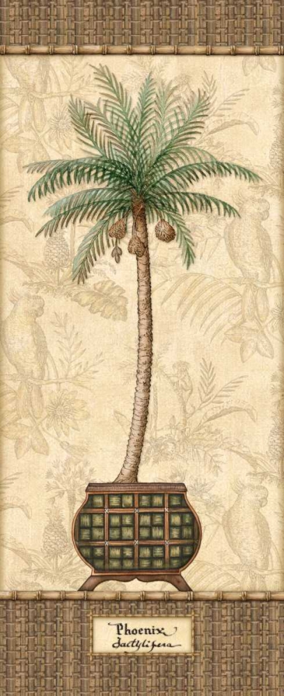 Wall Art Painting id:1771, Name: Botanical Palm II, Artist: Audrey, Charlene