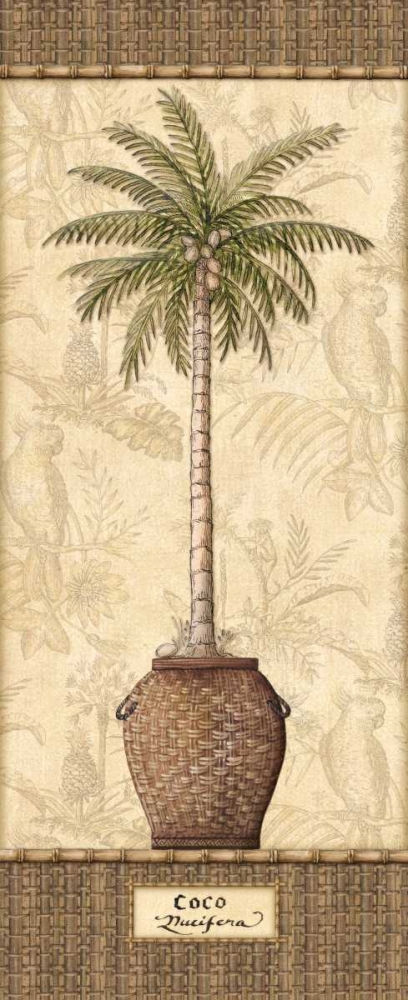 Wall Art Painting id:1772, Name: Botanical Palm III, Artist: Audrey, Charlene