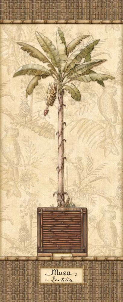 Wall Art Painting id:1773, Name: Botanical Palm IV, Artist: Audrey, Charlene