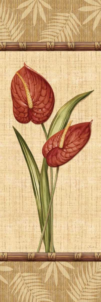Art Print: Fleurs Exotiques III