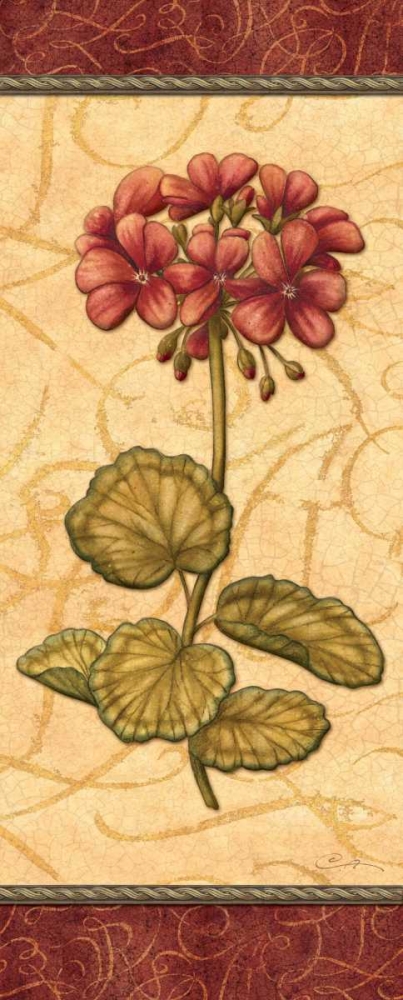 Wall Art Painting id:1815, Name: Red Passion Geranium, Artist: Audrey, Charlene