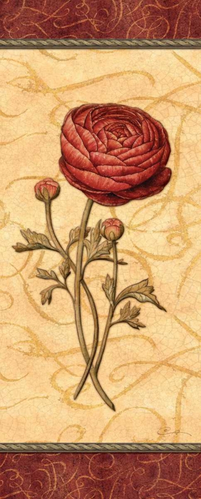 Wall Art Painting id:1817, Name: Red Passion Renonculus, Artist: Audrey, Charlene