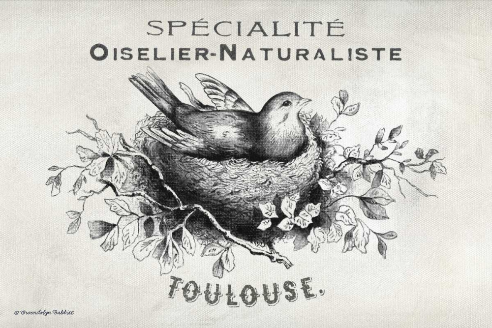 Wall Art Painting id:143266, Name: French Bird Nest I, Artist: Babbitt, Gwendolyn