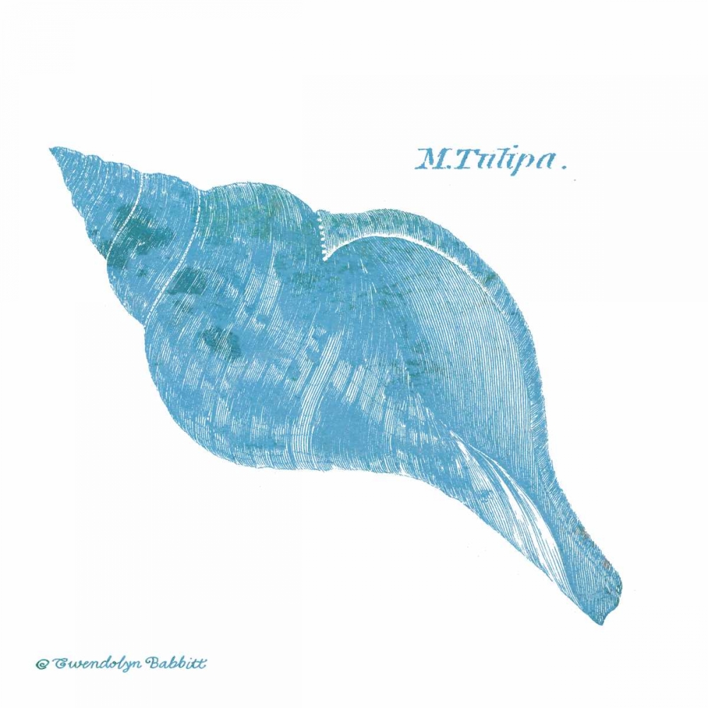 Wall Art Painting id:143319, Name: Shell on White II, Artist: Babbitt, Gwendolyn