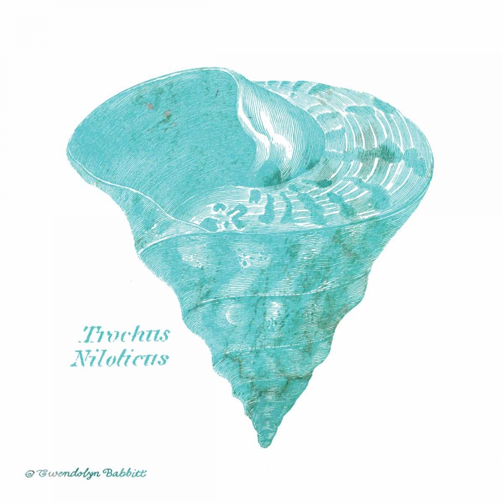 Wall Art Painting id:143320, Name: Shell on White III, Artist: Babbitt, Gwendolyn