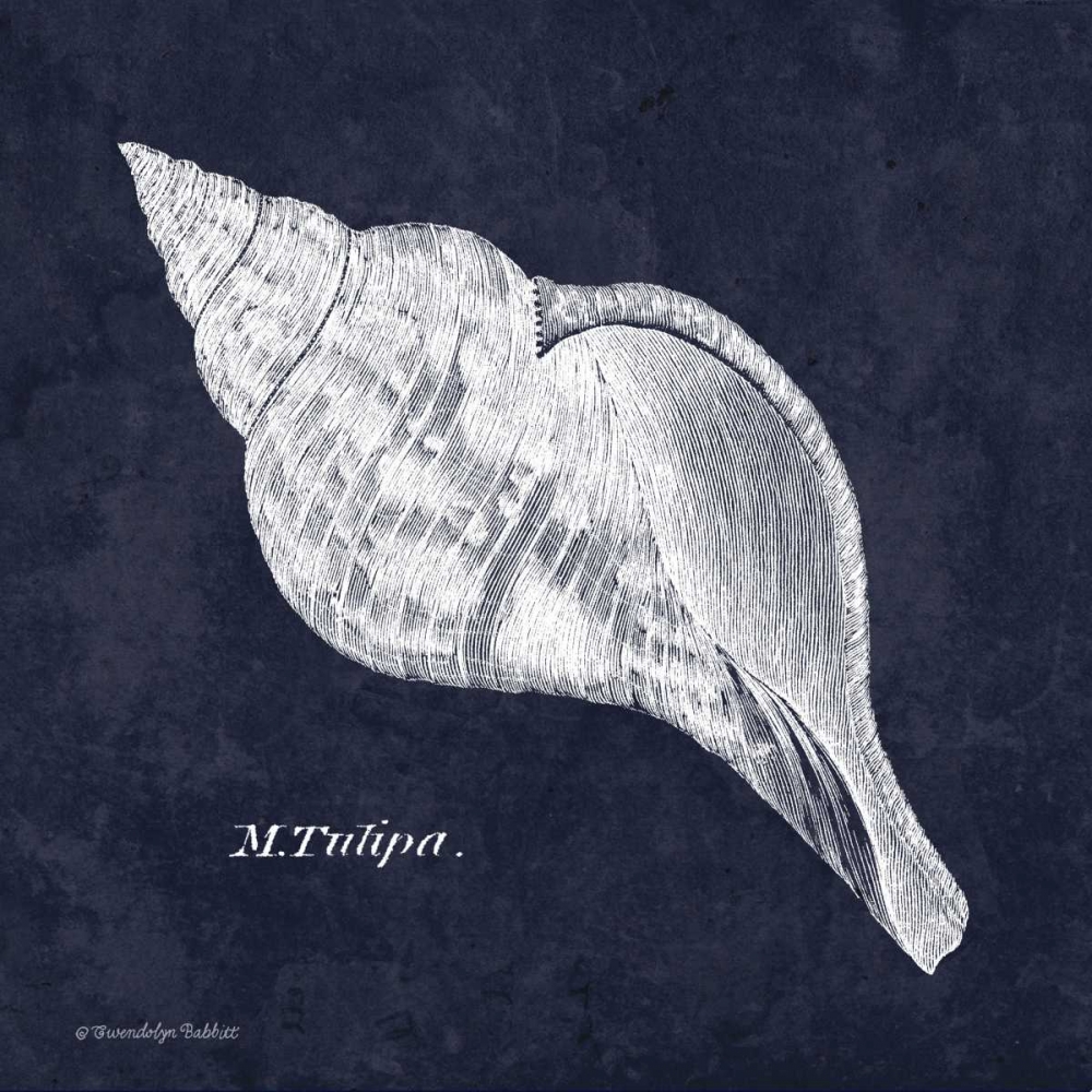 Wall Art Painting id:143404, Name: Indigo Shell III, Artist: Babbitt, Gwendolyn