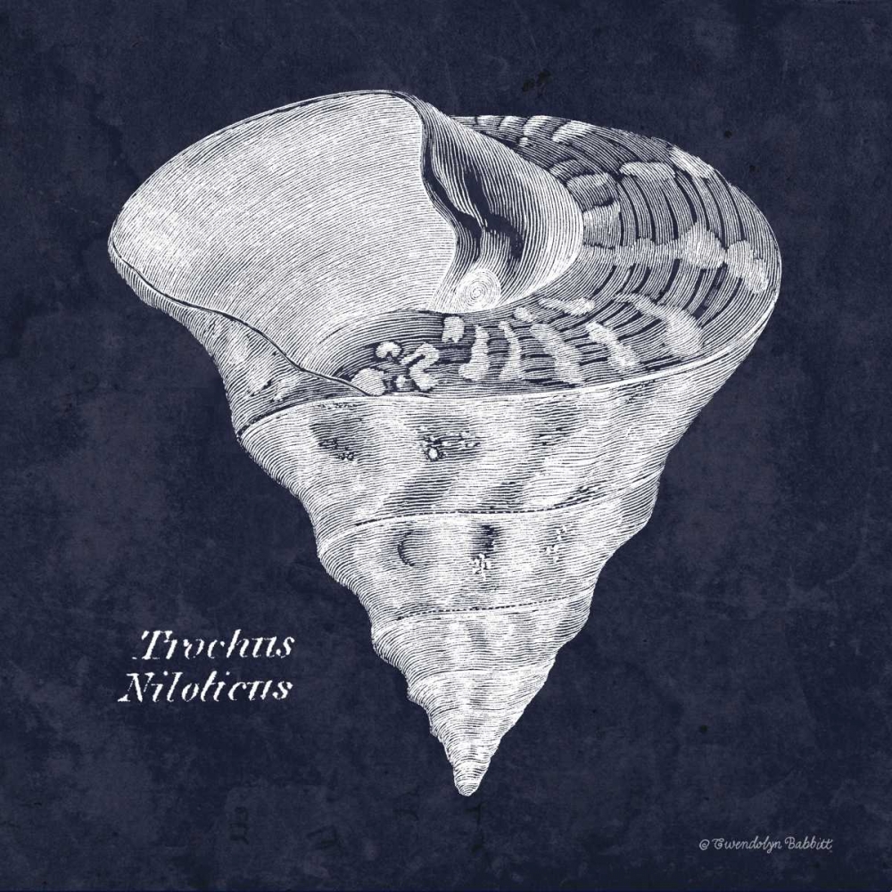 Wall Art Painting id:143405, Name: Indigo Shell IV, Artist: Babbitt, Gwendolyn