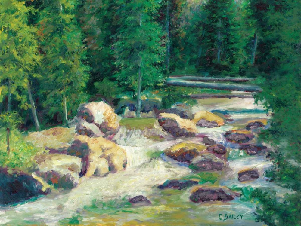 Art Print: Cascading Stream