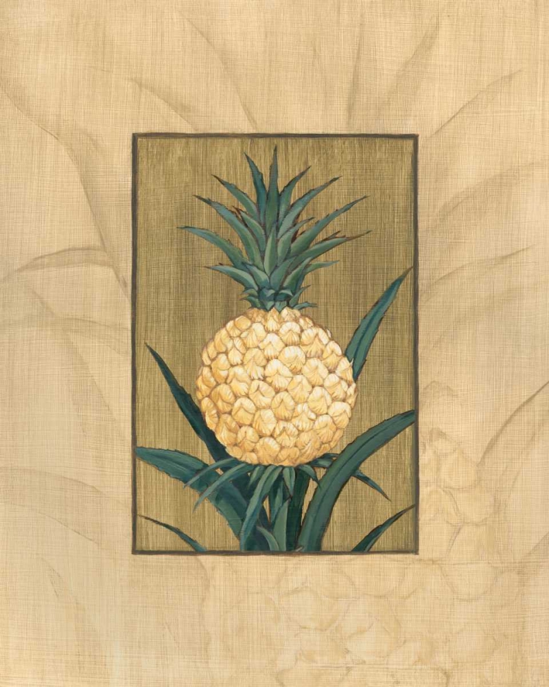 Wall Art Painting id:4156, Name: Sugar Loaf Pineapple, Artist: Brent, Paul