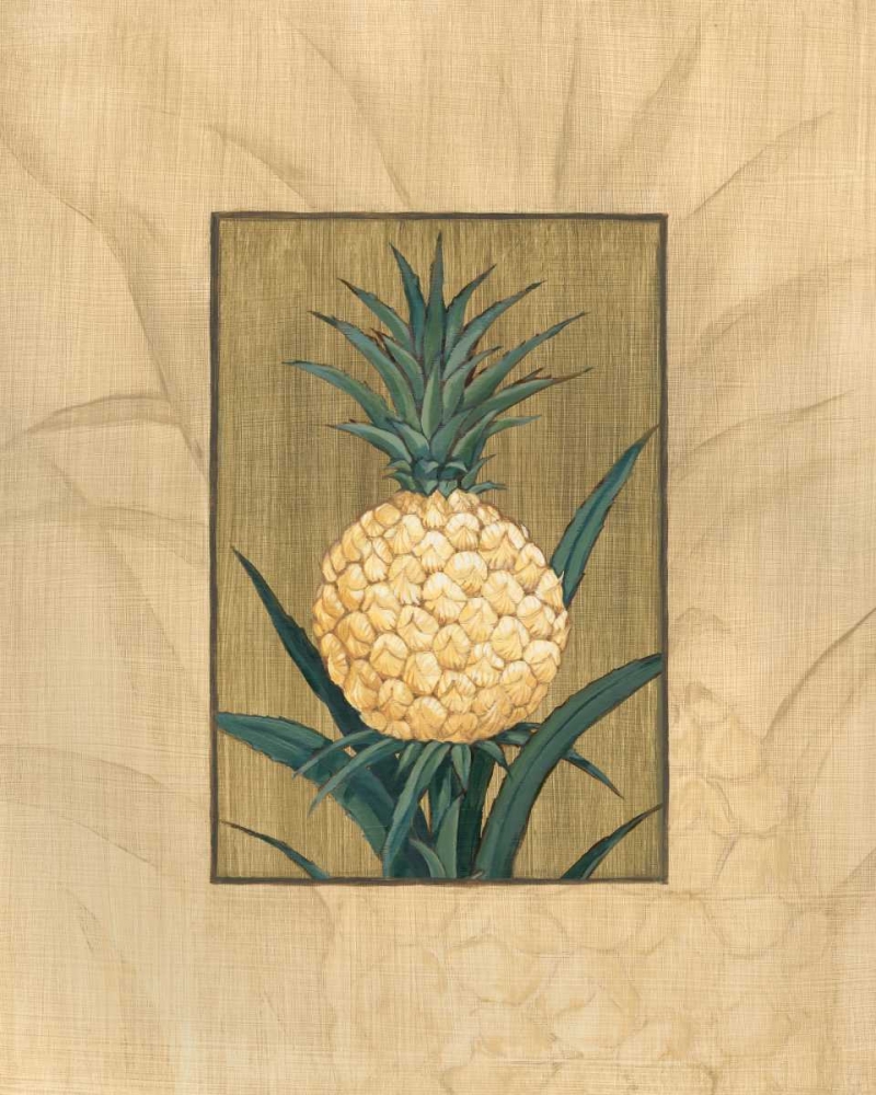 Wall art: Sugar Loaf Pineapple, by Brent, Paul