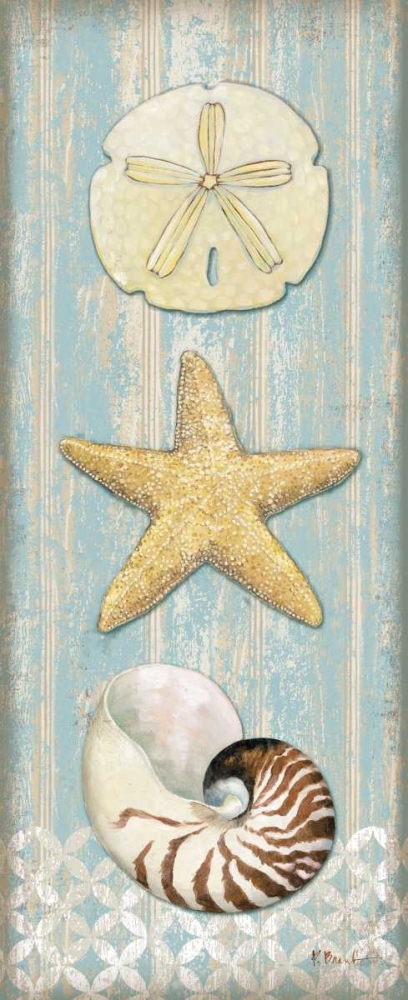 Wall Art Painting id:24435, Name: Spa Shells Vertical I, Artist: Brent, Paul