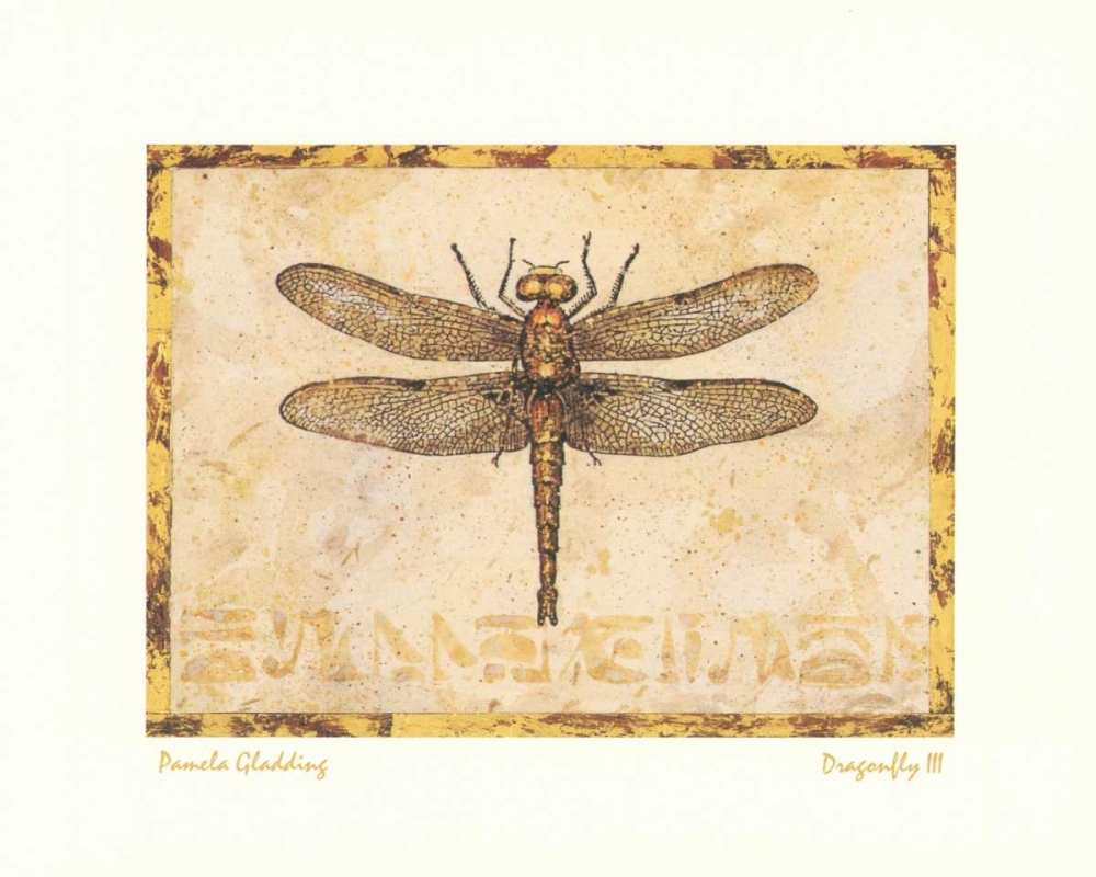 Wall Art Painting id:6806, Name: Dragonfly III, Artist: Gladding, Pamela