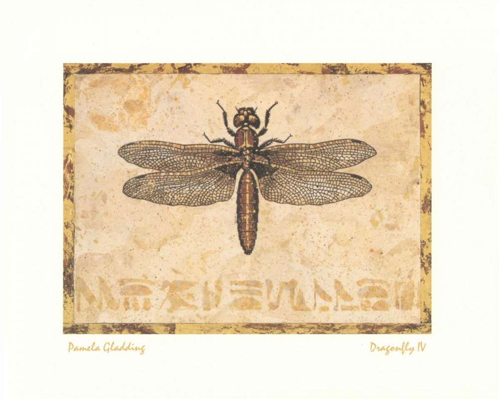 Wall Art Painting id:6807, Name: Dragonfly IV, Artist: Gladding, Pamela