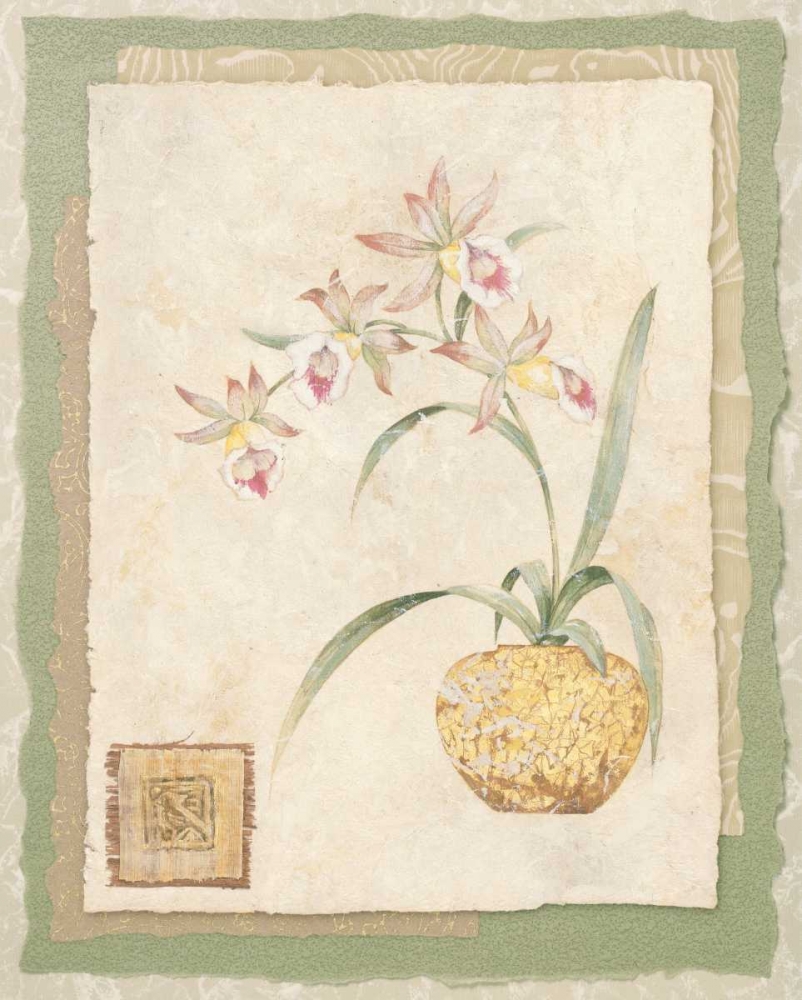 Wall Art Painting id:164315, Name: Orchid II, Artist: Gladding, Pamela