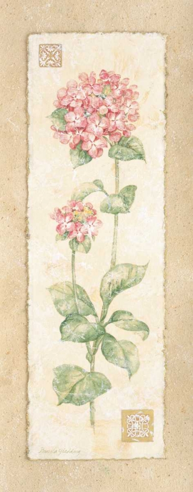 Wall Art Painting id:4657, Name: Hydrangea, Artist: Gladding, Pamela