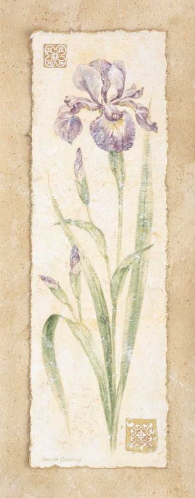 Wall Art Painting id:4662, Name: Iris, Artist: Gladding, Pamela