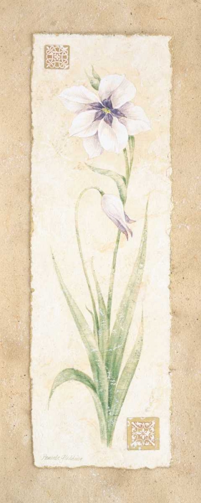 Wall Art Painting id:4663, Name: Gladiola, Artist: Gladding, Pamela