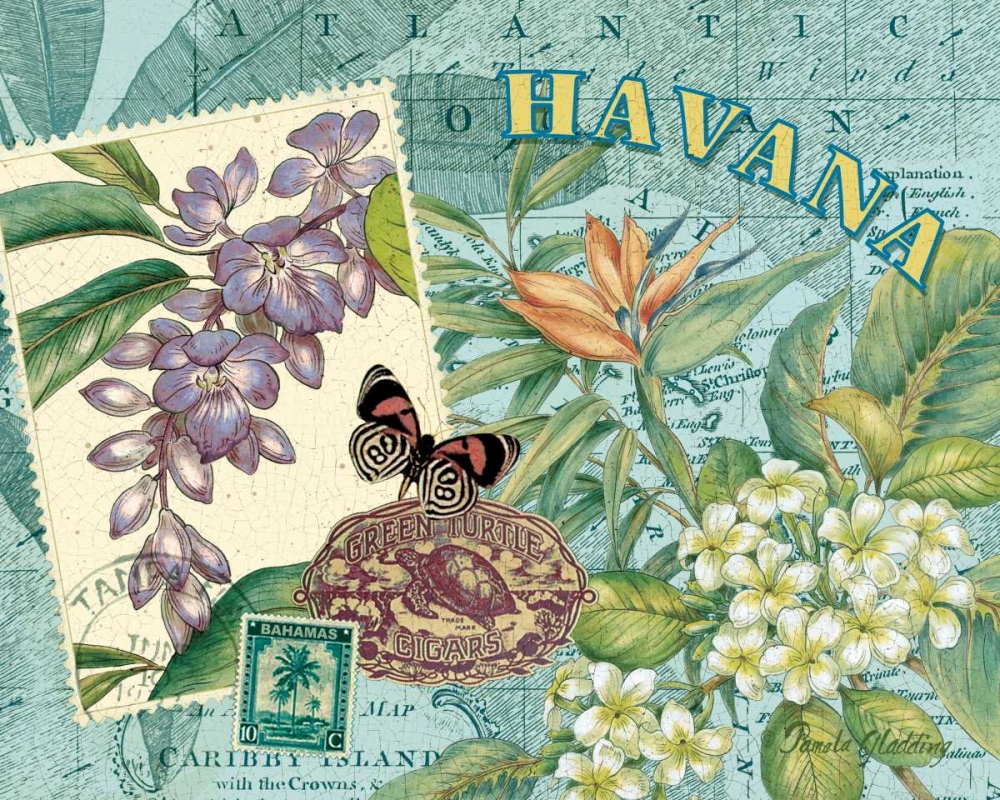 Wall art: Havana, by Gladding, Pamela