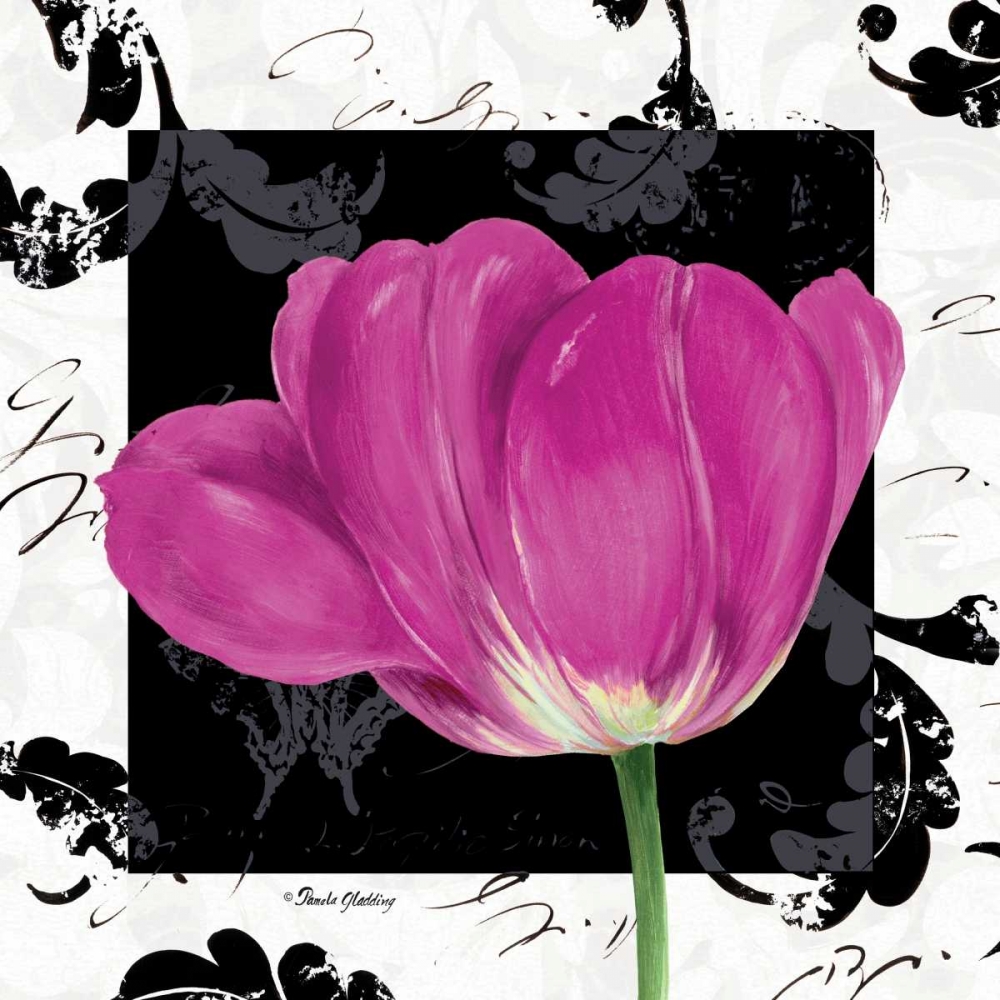 Wall Art Painting id:4854, Name: Damask Tulip II, Artist: Gladding, Pamela
