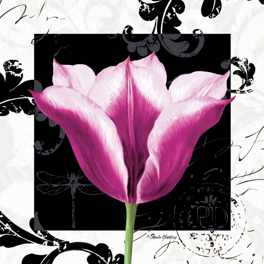 Wall Art Painting id:4855, Name: Damask Tulip III, Artist: Gladding, Pamela