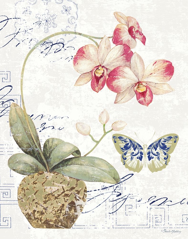 Wall Art Painting id:406884, Name: Orchid I, Artist: Gladding, Pamela