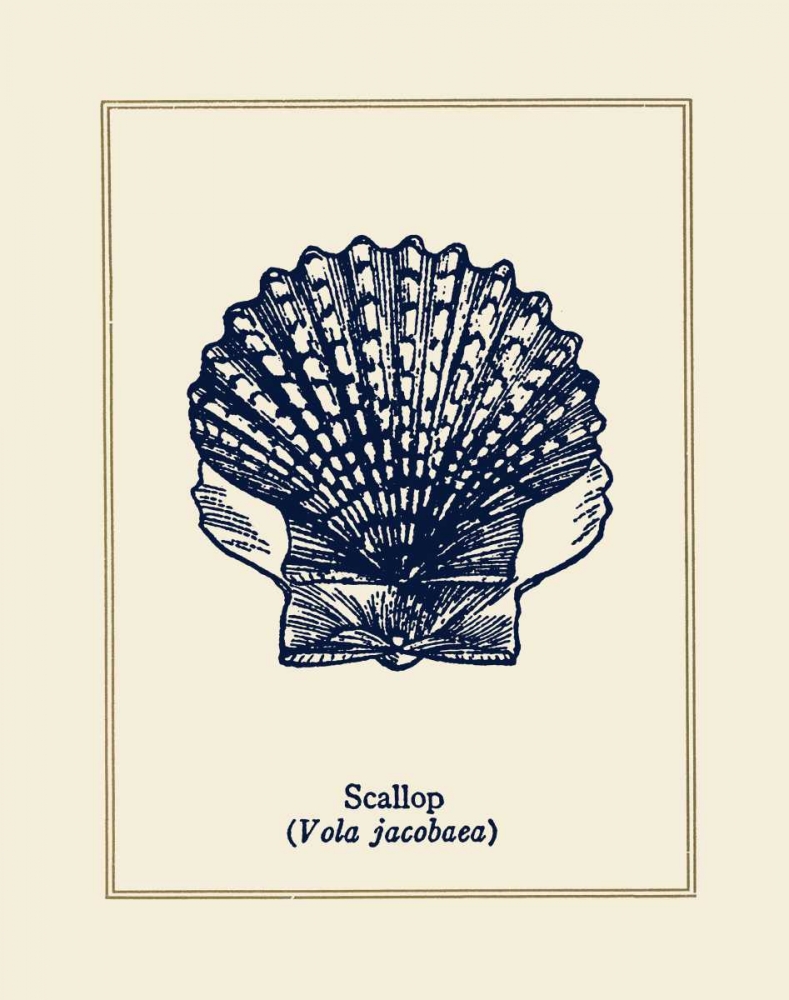 Wall Art Painting id:24500, Name: Scallop Shell, Artist: Gorham, Gregory
