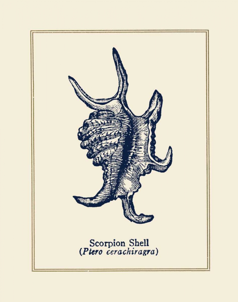 Wall Art Painting id:24501, Name: Scorpion Shell, Artist: Gorham, Gregory