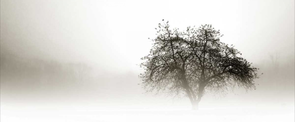 Art Print: In the Mist I