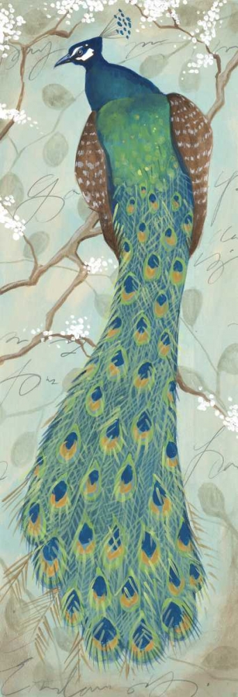 Wall Art Painting id:9425, Name: Peacock II, Artist: Leal, Steve