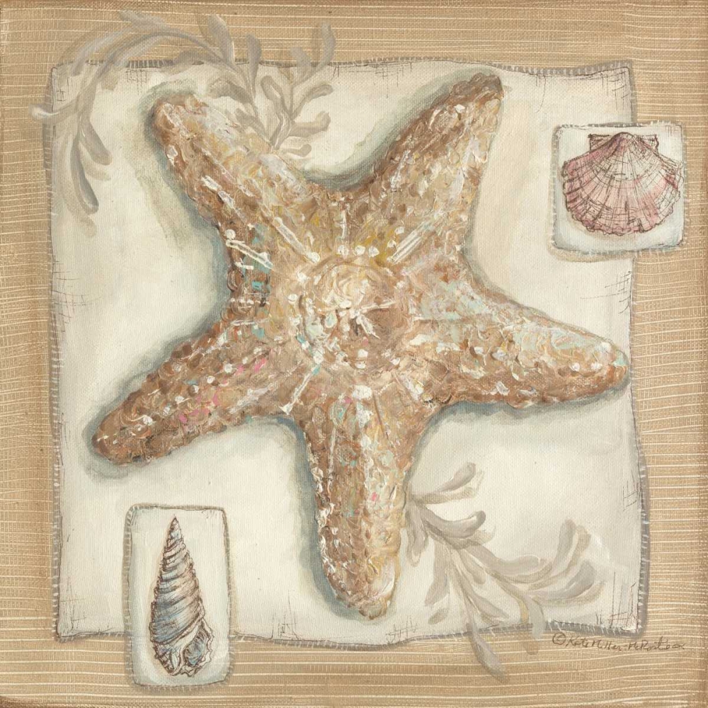 Wall Art Painting id:144857, Name: Sandy Starfish, Artist: McRostie, Kate