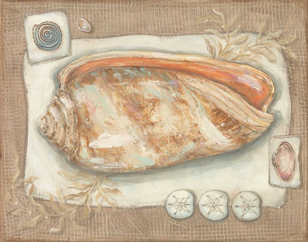 Wall Art Painting id:144858, Name: Sandy Shells I, Artist: McRostie, Kate