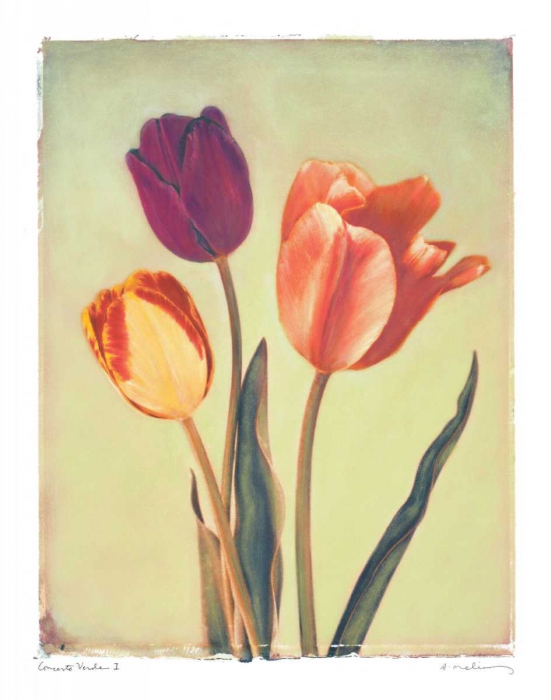 Wall art: Concerto Verde I, by Melious, Amy